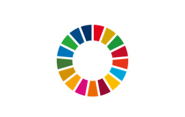 Initiatives for the achievement of SDGs